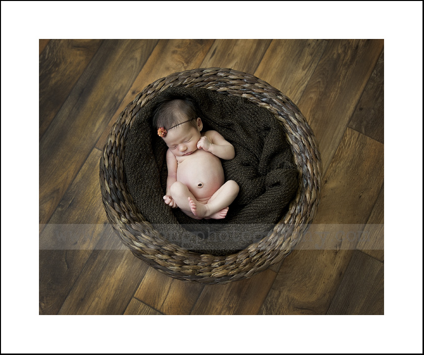 newborn photographer in raleigh
