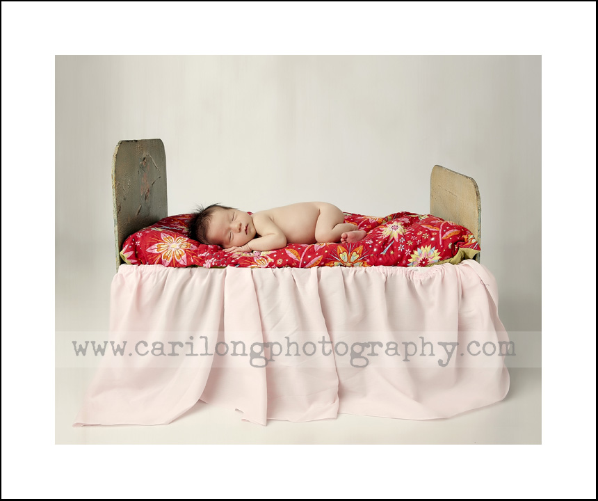 newborn pictures in raleigh and Cary