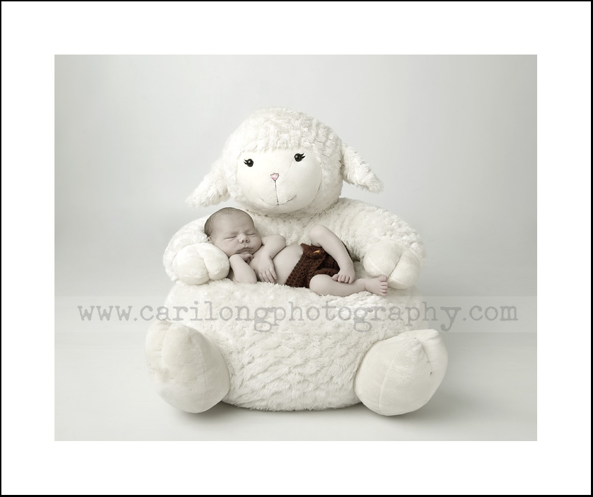 raleigh newborn photographer