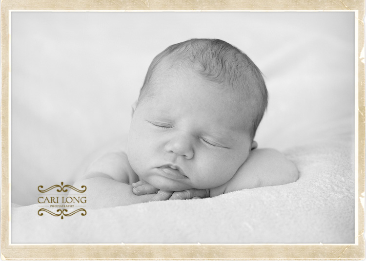 raleigh newborn pictures
