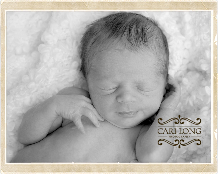 newborn photography in raleigh and chapel hill