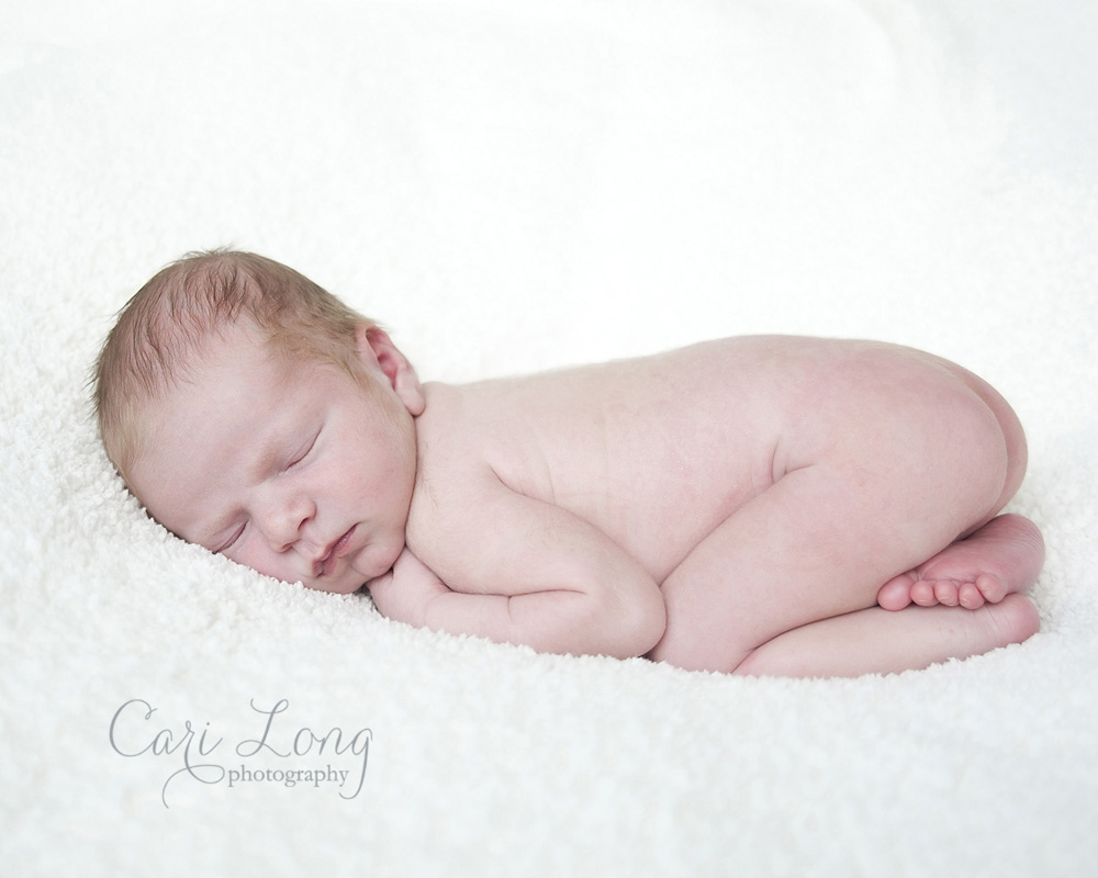 raleigh newborn photographer